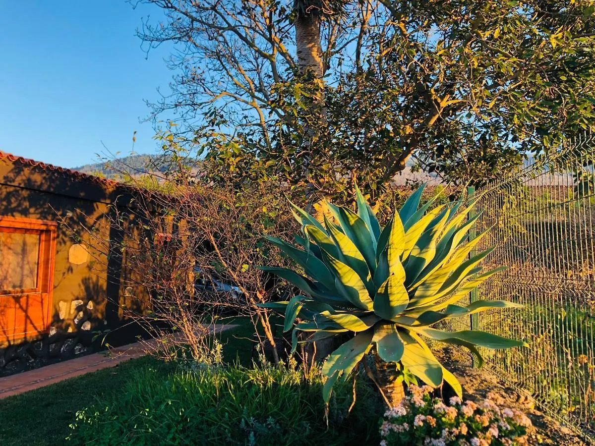Casa Rural Dona Herminda La Matanza De Acentejo Holiday home